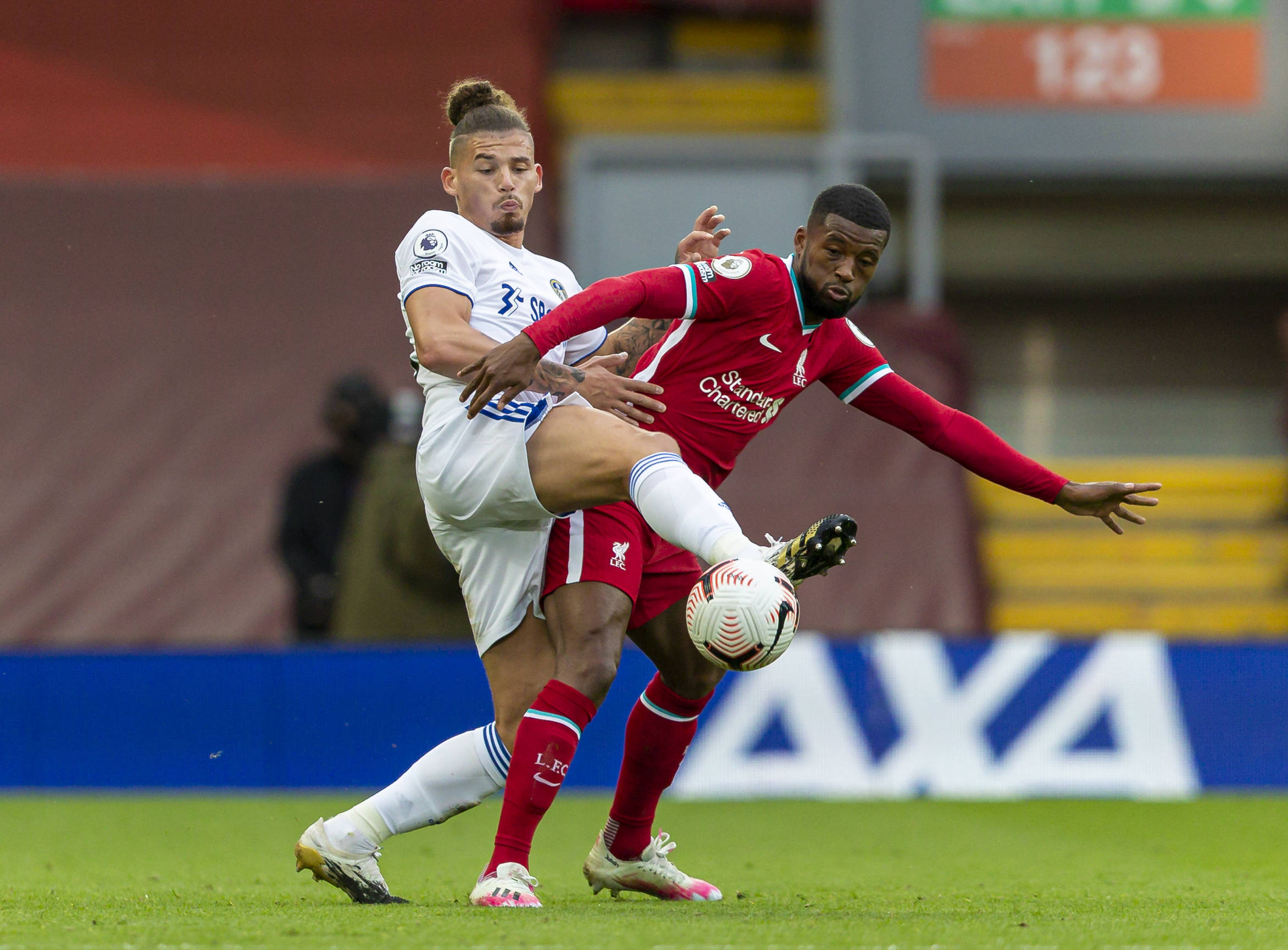 中的霸主地 中的霸主地